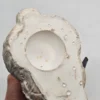 Betonowy królik z kokardą – figurka ogrodowa vintage, 19×18 cm