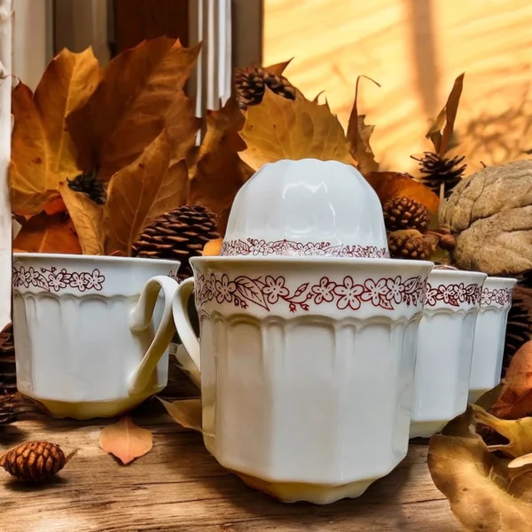 Serwis obiadowy/porcelana stołowa dla 6 osób – Apulum Romania