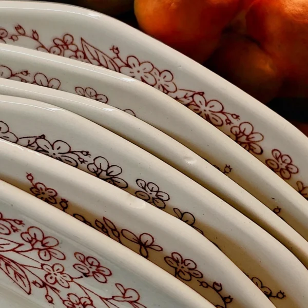 Serwis obiadowy/porcelana stołowa dla 6 osób – Apulum Romania