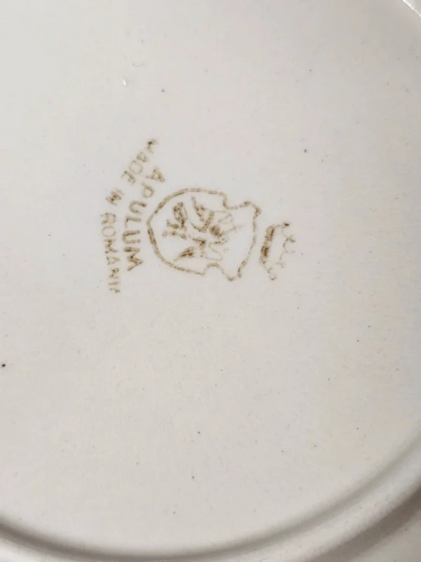 Serwis obiadowy/porcelana stołowa dla 6 osób – Apulum Romania