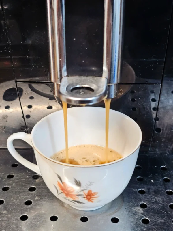 Ekspres automatyczny DeLonghi Magnifica S ECAM 21.116.B na ziarna 15 bar