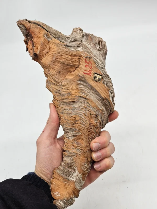 Unikatowa płaskorzeźba w surowym drewnie Twarz Starca 29x20 cm Handmade