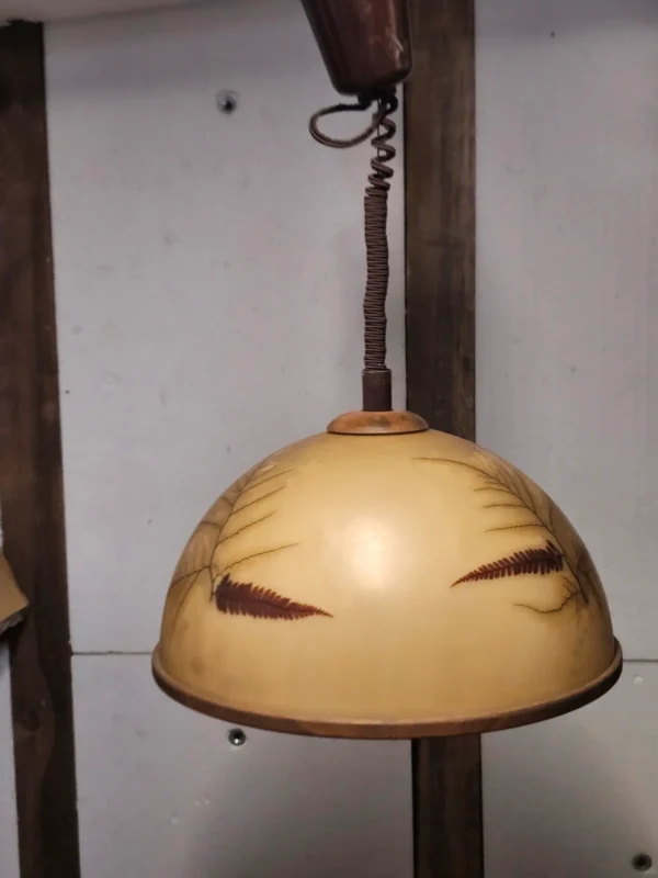 Lampa wisząca vintage z prawdziwymi roślinami regulowana Italy 73 cm