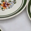 Artos Exklusiv Made in Italy komplet ceramiki stołowej 17 elementów zielony rant kwiatowy dekor