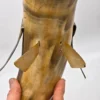 Wielka rzeźba rekin wykonana z naturalnego rogu Como Włochy 67 cm