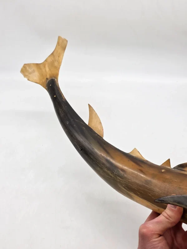 Wielka rzeźba rekin wykonana z naturalnego rogu Como Włochy 67 cm