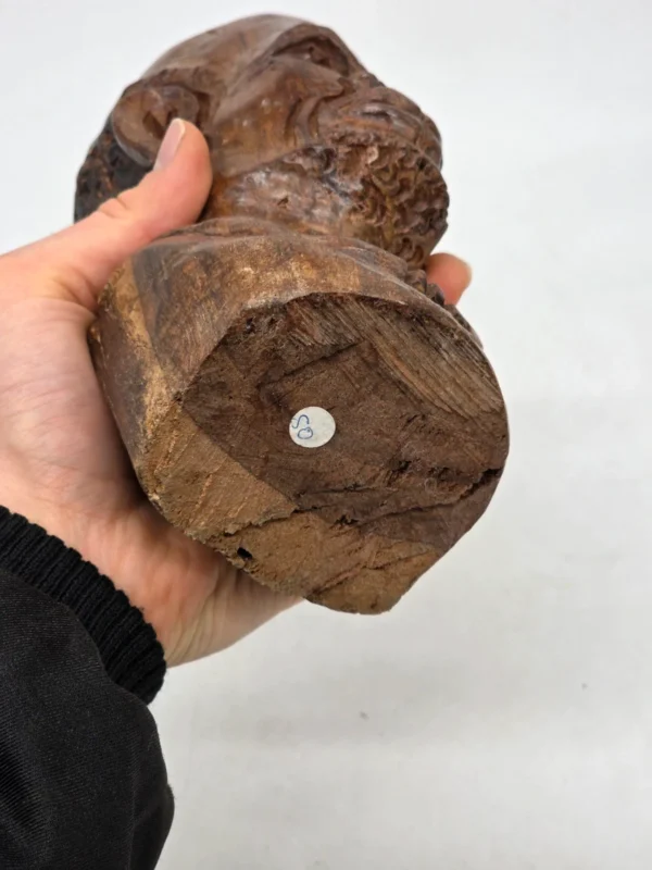 Drewniana rzeźba popiersie męskie egzotyczne drewno żelazne rękodzieło wys 22 cm