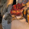 Włoski dzban ceramiczny Capodimonte majolika barok kwiaty 3D 40 cm